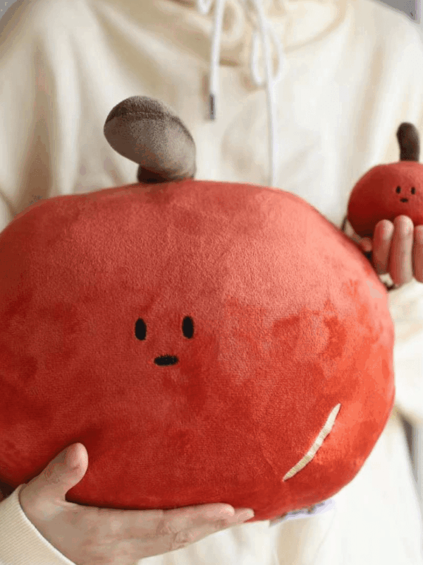 【✨人氣商品✨】9款 放大版 手工刺繡抱枕